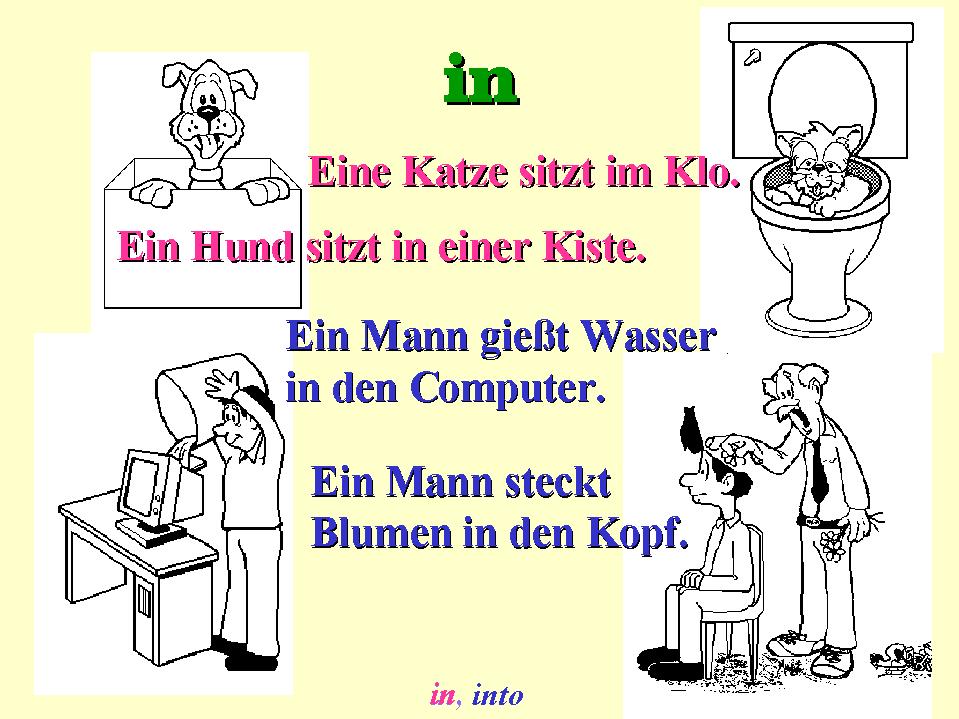 A cat sits in the toilet.  A dog is sitting in a box.   A man pours water into the computer.  A man is putting flowers into the head.