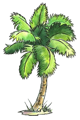 Palm tree